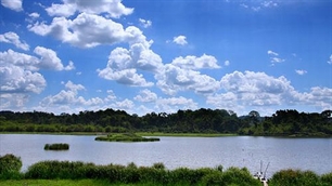 การประชุมสภาประชาชนจังหวัดและนครต่างๆทางทิศตะวันออกภาคใต้